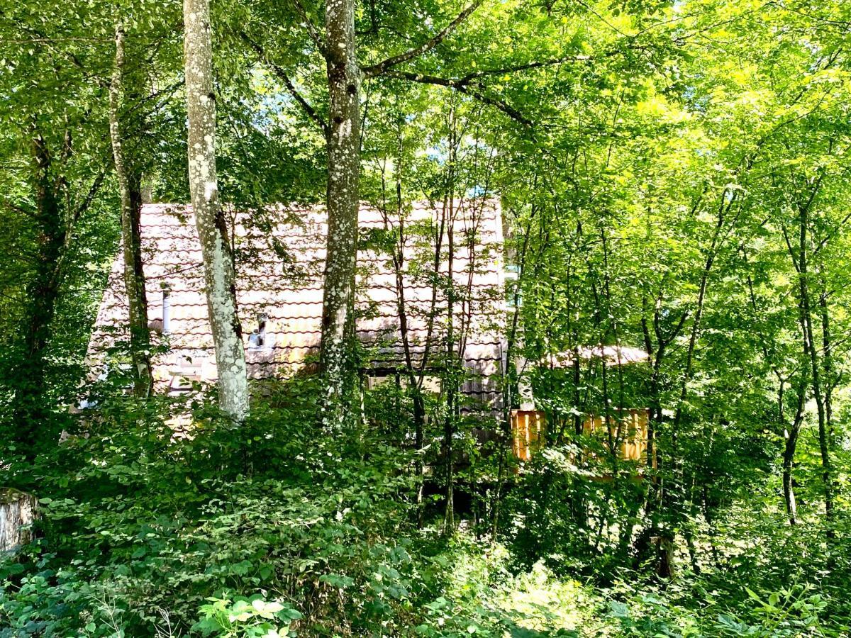 A- Frame Huisje Ardennen 杜柏 外观 照片