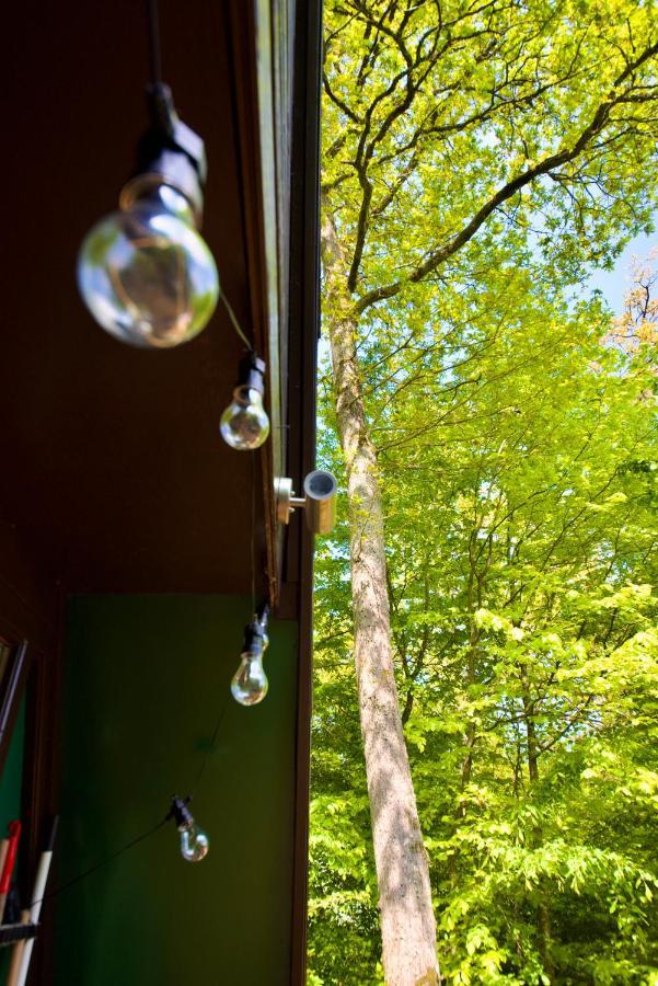 A- Frame Huisje Ardennen 杜柏 外观 照片